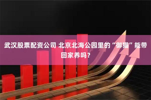武汉股票配资公司 北京北海公园里的“御猫”能带回家养吗？