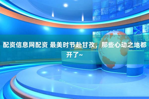配资信息网配资 最美时节赴甘孜，那些心动之地都开了~